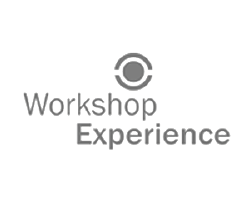 WORKSHOP EXPERIENCE